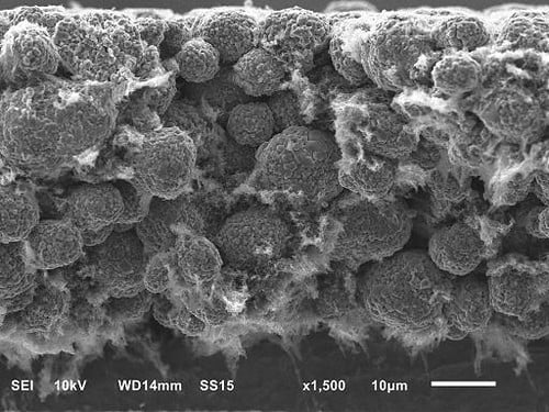 lithium ion cathode