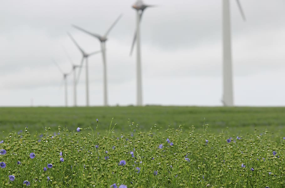 wind farm france eolus vind battery storage california 