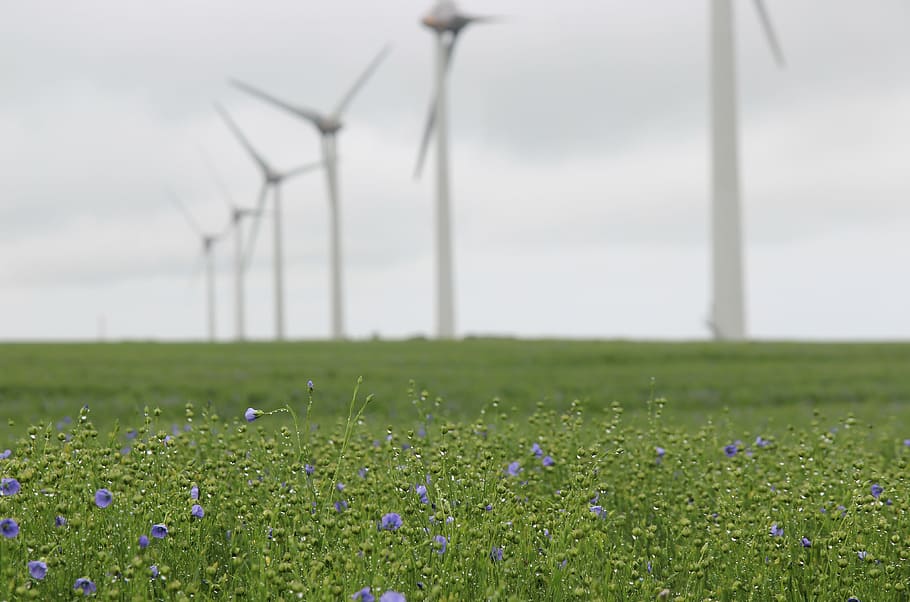 wind farm france 