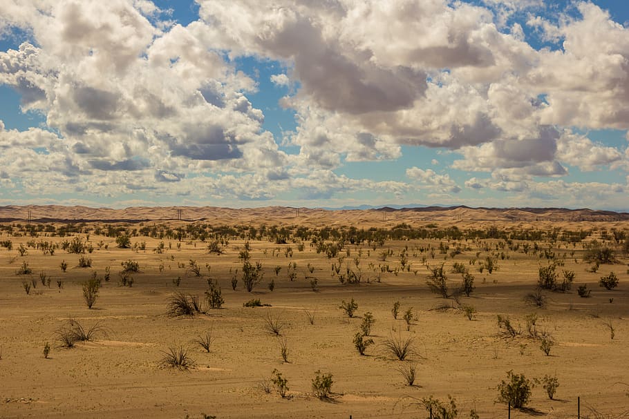 New Mexico