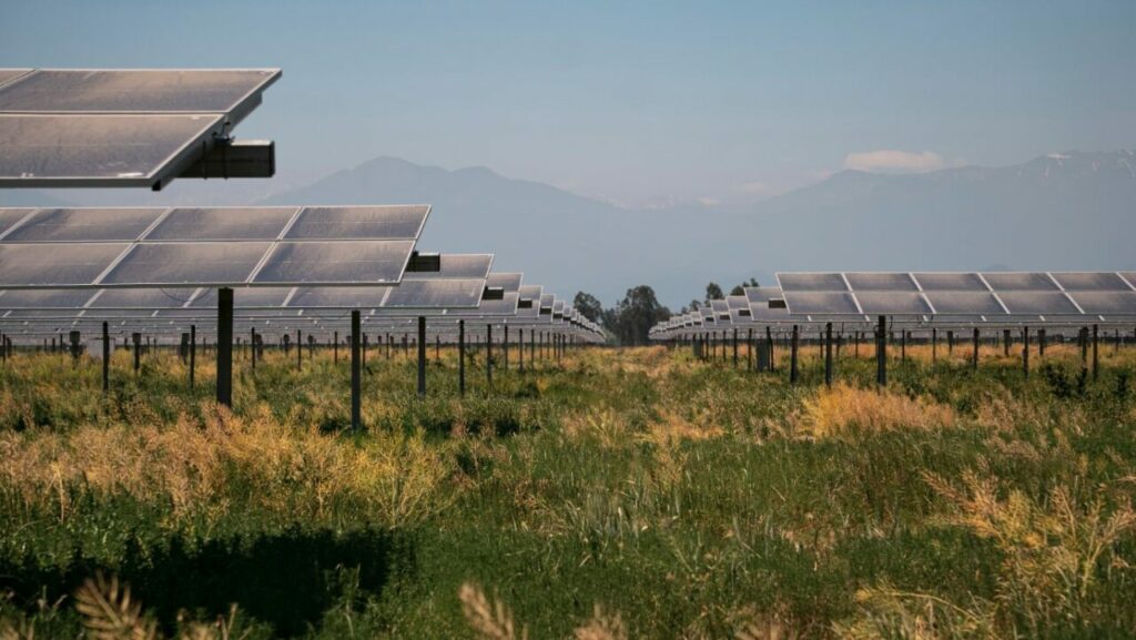 Grenergy's Matarani solar plant in Peru. Image: Grenergy Renovelables.