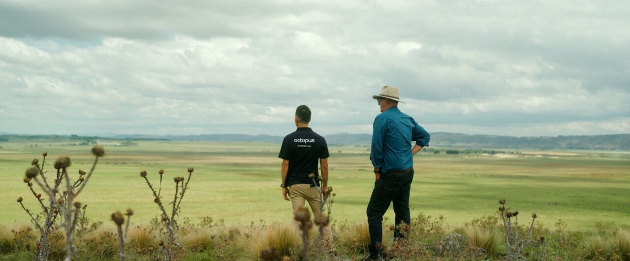 Octopus Australia reaches financial close on 486MWh DC-coupled solar-plus-storage site – Energy-Storage.News