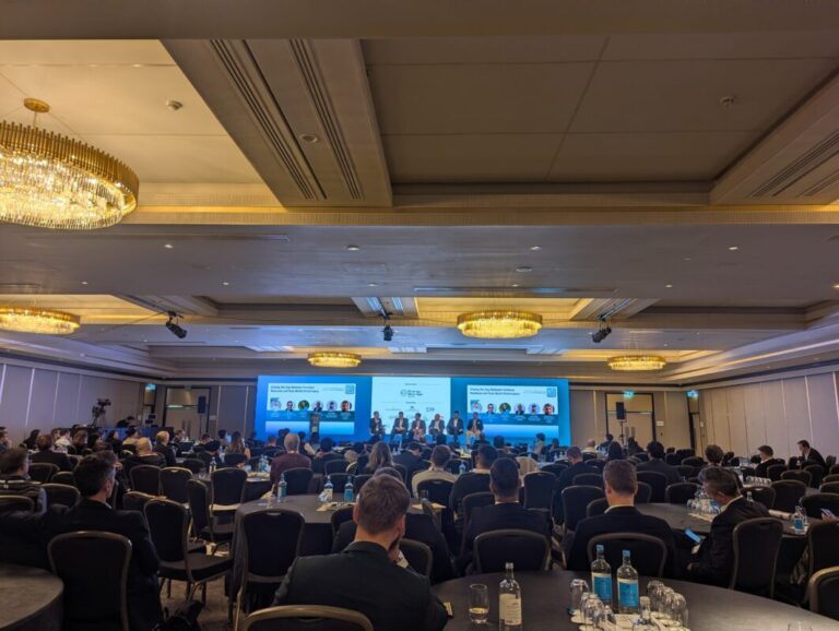 ‘Where do I put my chips on the table?’: Long-term BESS revenue curves and uncertainty