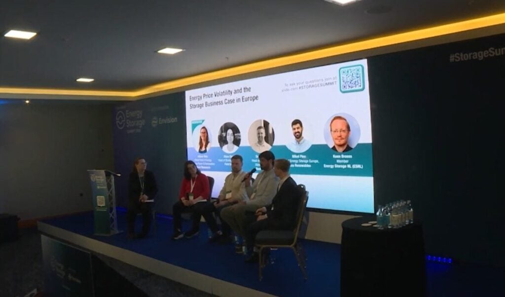 Energy Price Volatility and the Storage Business Case in Europe panel discussion