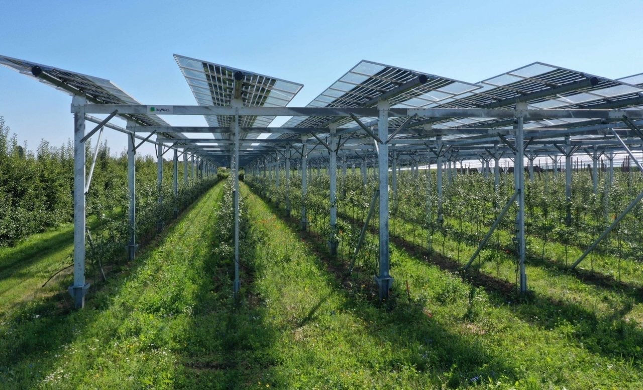 Spanish government awards €360 million for co-located battery storage projects