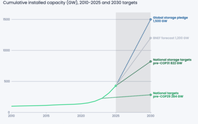 01_National_storage_targets_have_almost_tripled_since_COP29_but