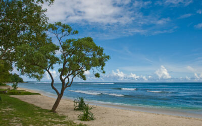 1280px-Eratap_Efate_Vanuatu_13_April_2008