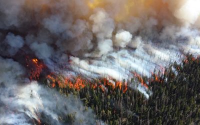 Wildfire season causes many problems each year in the US including impacts on the electric grid and peoples' ability to keep the lights on. Pictured is a 2013 wildfire at Yellowstone National Park. Image: Mike Lewelling, National Parks Service via Flickr.