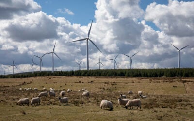 The Dun Law Wind farm in Scotland. Wind is regularly curtailed in GB. Image: IMF.
