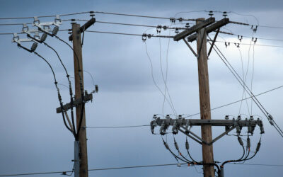 feeder line grid booster new mexico PNM battery storage