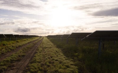 Although it is noted that a co-located battery storage system will be included in the development, its size has not been disclosed. Image: Bungaban Renewable Generation Hub.
