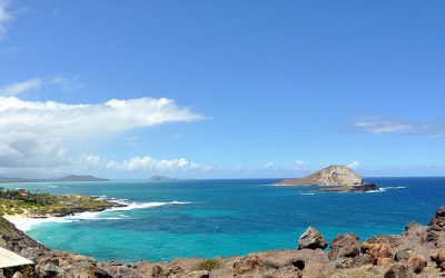 800px-Makapuu_oahu_hawaii_photo_credit_wikimedia_wppilot