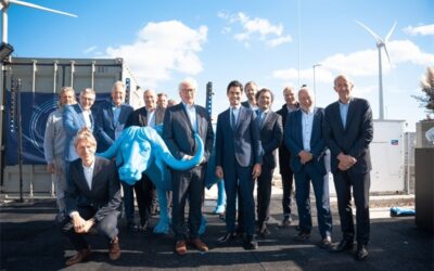 Wärtsilä netherlands giga storage buffalo