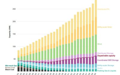 Forecasted NEM capacity to 2050 under AEMO’s Step Change scenario. Source: AEMO.