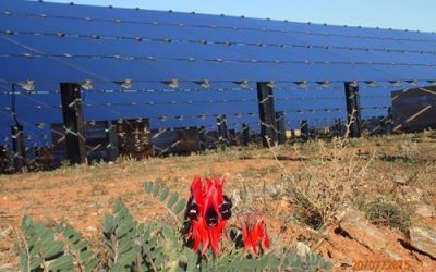 Broken Hill solar farm in New South Wales, Australia, which Aware Super made an investment in as it was being built in 2016. Image: AGL Energy.