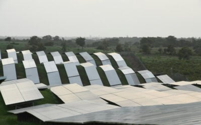 The Oriana Solar Park from Infinigen