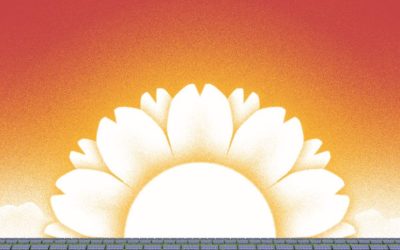This edition’s cover story focuses on agrivoltaics. Illustration by Luca D’Urbino for Solar Media.