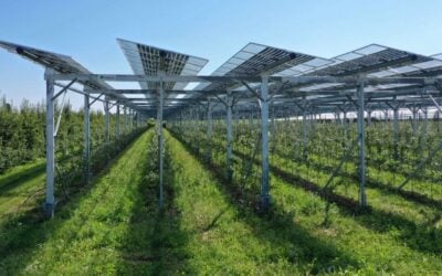 An agriPV project. Most of the PV projects awarded funding through the programme were for agriPV applications. Image: Baywa r.e.