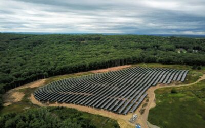 A 4.2 MW agrivoltaic aolar project in Rockport, Maine, developed by BlueWave and owned by Navisun. Image: BlueWave / Navisun.