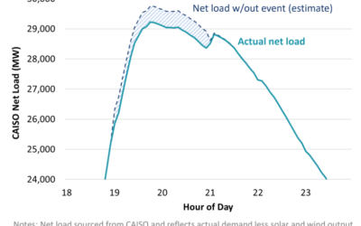 Brattle Group noted a 'visible reduction in net load' during the test event. Image: Brattle Group.