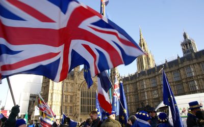 Brexit_Protestors_Westminster