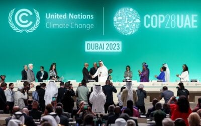 Closing plenary at last year's COP28 summit in Dubai, UAE. Image: COP28 / Mahmoud Khaled.