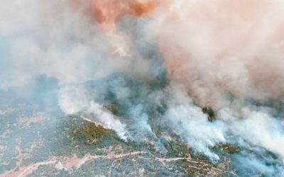 California_wildfires_2020_-_Credit_Office_of_the_Governor_of_California_750_563_80_s