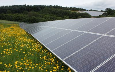 Conergy_solar_park_Mehring_IV_Germany_3_-_low_res