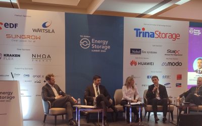 There should be an 'all of the above' approach to energy storage deployment, the panellists said. Image: Invinity Energy Systems via Twitter.