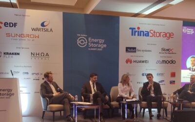 There should be an 'all of the above' approach to energy storage deployment, the panellists said. Image: Invinity Energy Systems via Twitter.