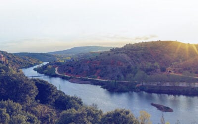 Soria is the premier location as a gateway to the entire Southern European market.