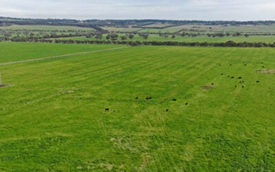 The grid-forming BESS will be located around 82km southwest of Melbourne. Image: FRV Australia.