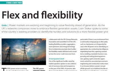 Flex_and_flexibility