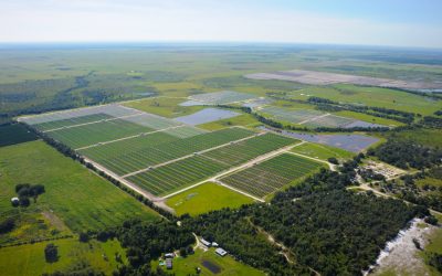 Florida_Light_and_Power_Desoto_plant_Doug_Murray_FPL_small