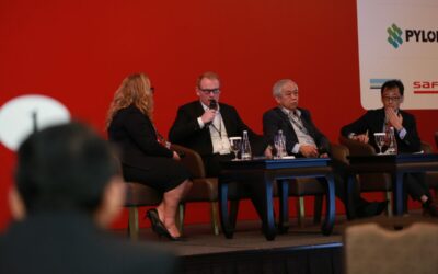 Gurin Energy's Franck Bernard speaking on a panel at the Energy Storage Summit Asia, hosted in Singapore earlier this year by our publisher Solar Media.   Image: Solar Media.