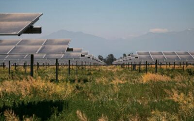 Grenergy's Matarani solar plant in Peru. Image: Grenergy Renovelables.