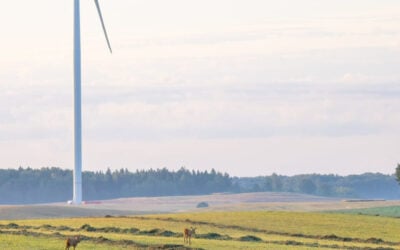 A turbine at an Ignitis Group onshore wind power plant. Image: Ignitis Group