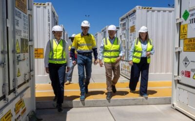 Image: Synergy via LinkedIn.