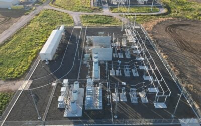 Image: Octopus Australia.