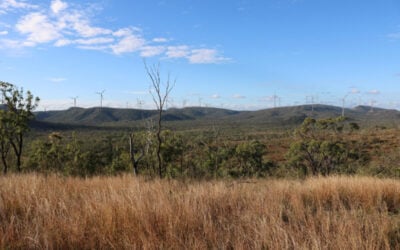 Image: Greenleaf Renewables.