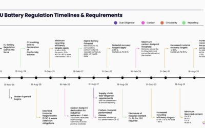 Infyos EUBR Timeline (1)
