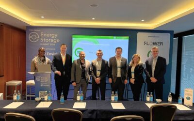LDES Council policy officer Oghosa Erhahon (left) and policy director Will Broad (third from right) with representatives of member organisations at the Energy Storage Summit 2026 workshop in London, UK. Image: LDES Council via LinkedIn.