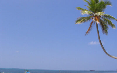 Lakshadweep_flcikr_thejas
