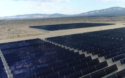 Leeward Rabbitbrush arizona california bess solar
