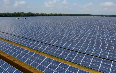 Low Carbon's 21MWp Lackford solar PV power plant in southern England, UK. Image: Low Carbon.