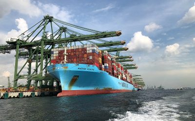 A container ship at PAsir Panjang Terminal, Singapore. Image: wikimedia user Wzhkevin.