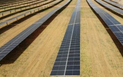 The solar-plus-storage project is located near the New England Renewable Energy Zone. Image: Middlebrook Solar Farm.