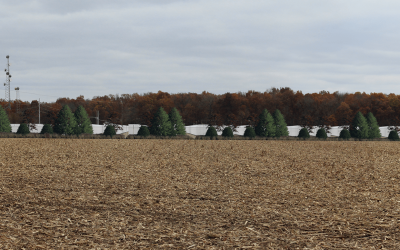 indiana energy storage