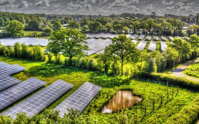 A NESF solar power plant, pictured in 2019. Image: NextEnergy Solar Fund.