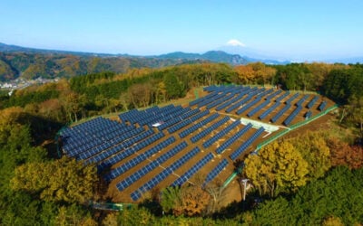 UK-headquartered Nala Renewables is a developer of solar PV (pictured), wind and battery storage projects. Image: Nala Renewables.
